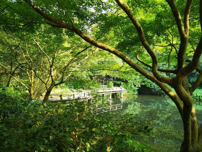 Nine-Greeks-Meandering-Through-a-Misty-Forest-Hangzhou